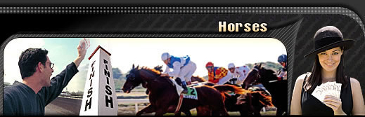 Online Horse Gambling